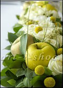 www.floristic.ru - .  .