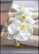 www.floristic.ru - .  .