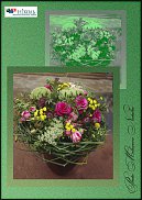 www.floristic.ru - .  