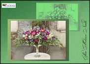 www.floristic.ru - .  