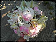 www.floristic.ru - .  