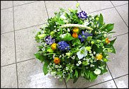 www.floristic.ru - . ,  .