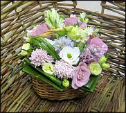 www.floristic.ru - . ,  .