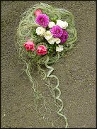 www.floristic.ru - . -  