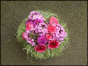 www.floristic.ru - . -  