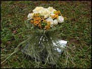 www.floristic.ru - . -  