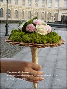 www.floristic.ru - .  - "    -2013"