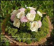 www.floristic.ru - .  - "    -2013"