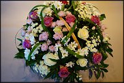 www.floristic.ru - . ,  .