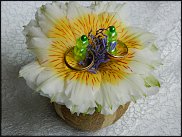 www.floristic.ru - . 