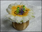 www.floristic.ru - . 