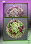 www.floristic.ru - .  