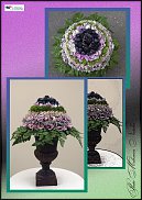 www.floristic.ru - .  