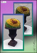 www.floristic.ru - .  