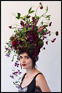 www.floristic.ru - .  