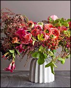 www.floristic.ru - .     