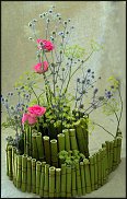 www.floristic.ru - . -  