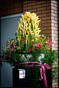 www.floristic.ru - . 