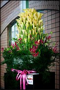 www.floristic.ru - . 