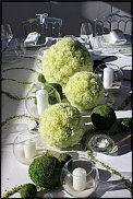 www.floristic.ru - .  .