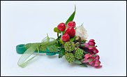 www.floristic.ru - .     