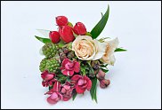 www.floristic.ru - .     