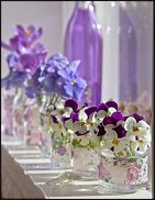 www.floristic.ru - . .  .