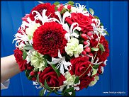 www.floristic.ru - .  .