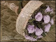 www.floristic.ru - .  - "    -2013"