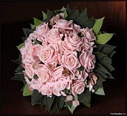 www.floristic.ru - . - !