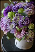 www.floristic.ru - .  (Eustoma)