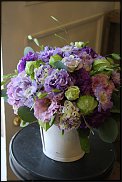 www.floristic.ru - .  (Eustoma)