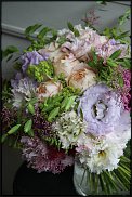 www.floristic.ru - .  (Eustoma)