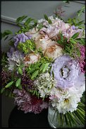 www.floristic.ru - .  (Eustoma)