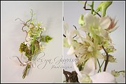 www.floristic.ru - .  .