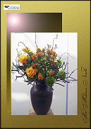 www.floristic.ru - .  