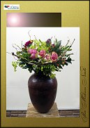 www.floristic.ru - .  