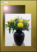 www.floristic.ru - .  