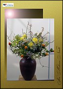 www.floristic.ru - .  