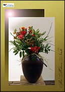 www.floristic.ru - .  