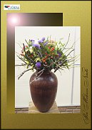 www.floristic.ru - .  