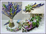 www.floristic.ru - .  .