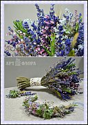 www.floristic.ru - .  .