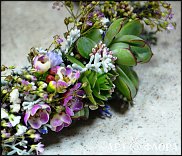 www.floristic.ru - .  .