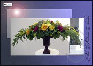 www.floristic.ru - .  