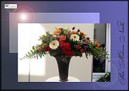 www.floristic.ru - .  