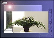 www.floristic.ru - .  