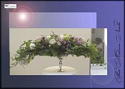 www.floristic.ru - .  