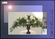 www.floristic.ru - .  