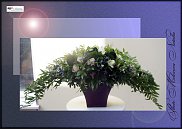 www.floristic.ru - .  